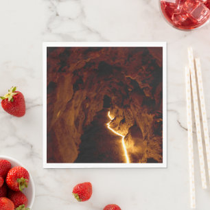 Secret Tunnel Napkin