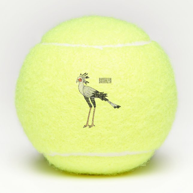 Secretary bird cartoon illustration  tennis balls (Front)
