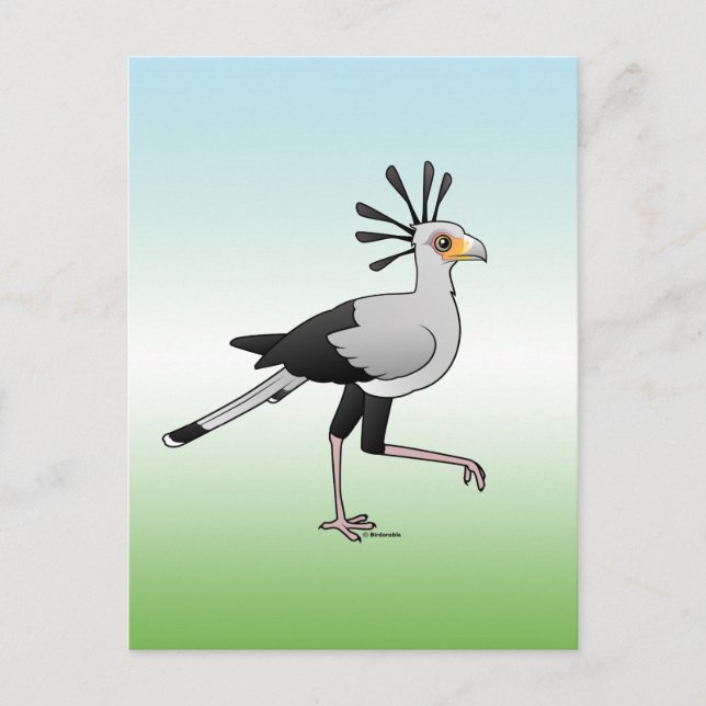 Secretary Bird Postcard (Front)