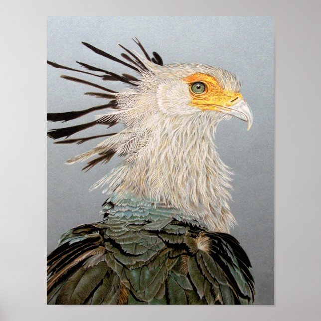 Secretary Bird Poster (Front)