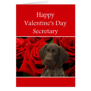 Secretary Glossy Grizzly Valentine Puppy Love