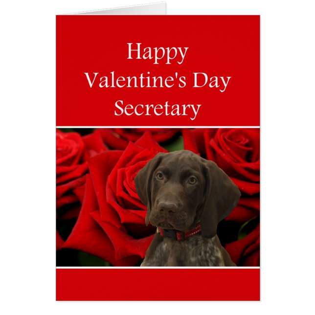Secretary Glossy Grizzly Valentine Puppy Love (Front)