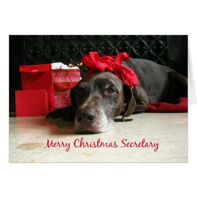 secretary Merry Christmas card (Front Horizontal)