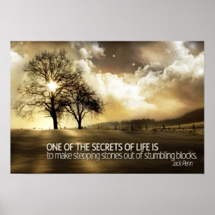 Secrets of Life Motivational Poster