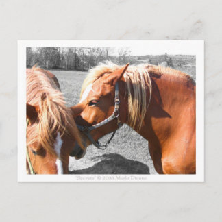 Secrets Postcard