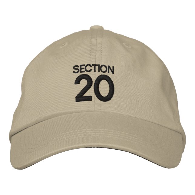 SECTION 20 Strike Back Inspired Hat/Cap Embroidered Hat (Front)