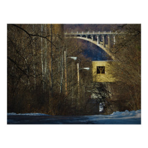 "Security Breach" Photo Print