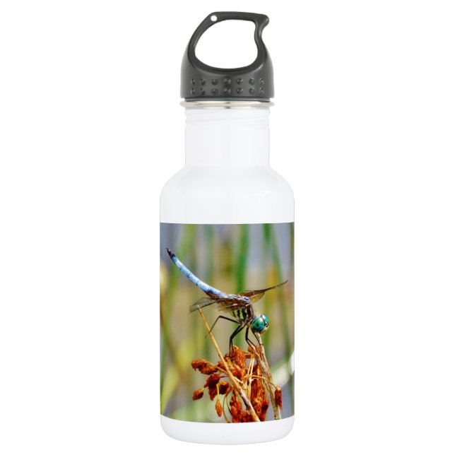 Sedge grass, and Dragonfly 532 Ml Water Bottle (Front)