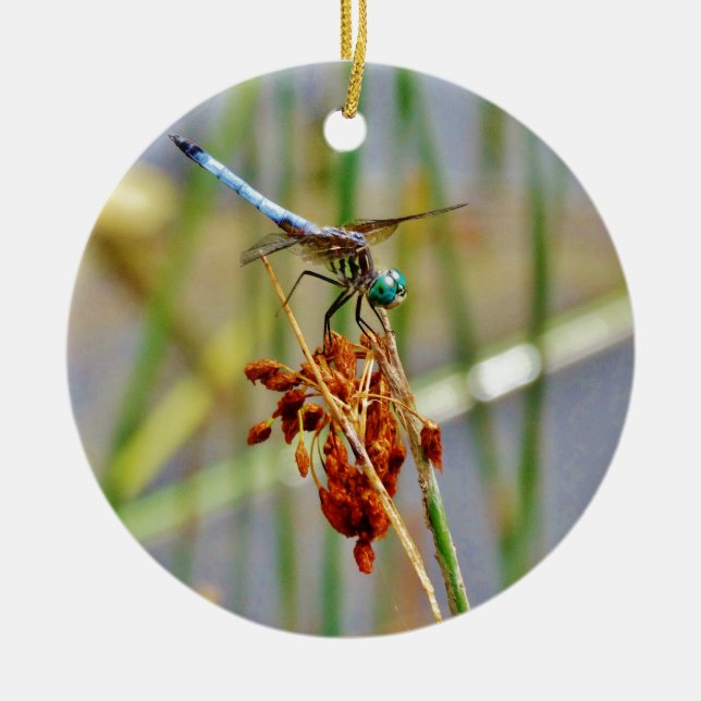 Sedge grass, and Dragonfly Ceramic Tree Decoration (Front)