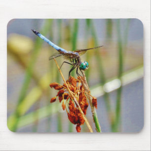 Sedge grass, and Dragonfly Mouse Mat