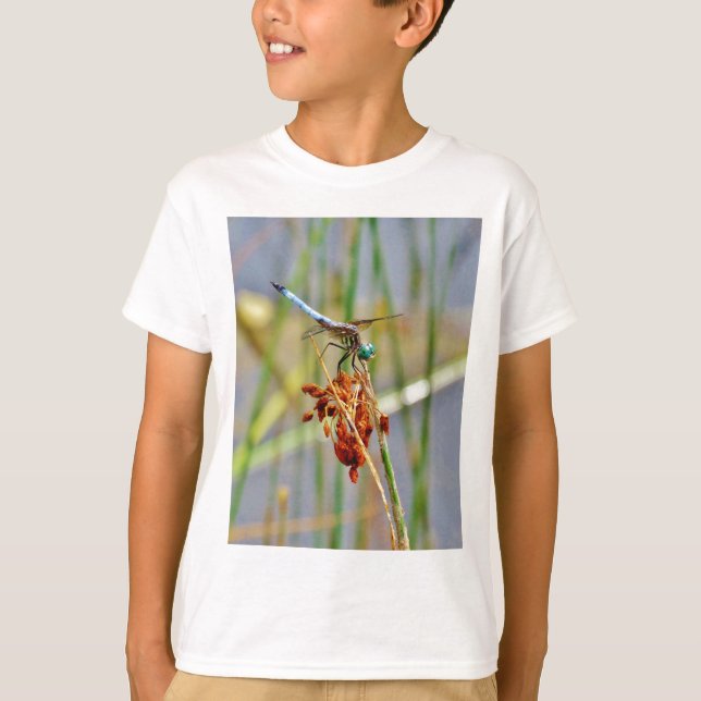 Sedge grass, and Dragonfly T-Shirt (Front)