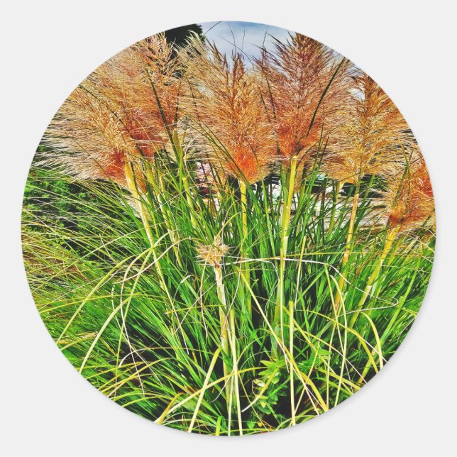 Sedge in the wind.     classic round sticker (Front)