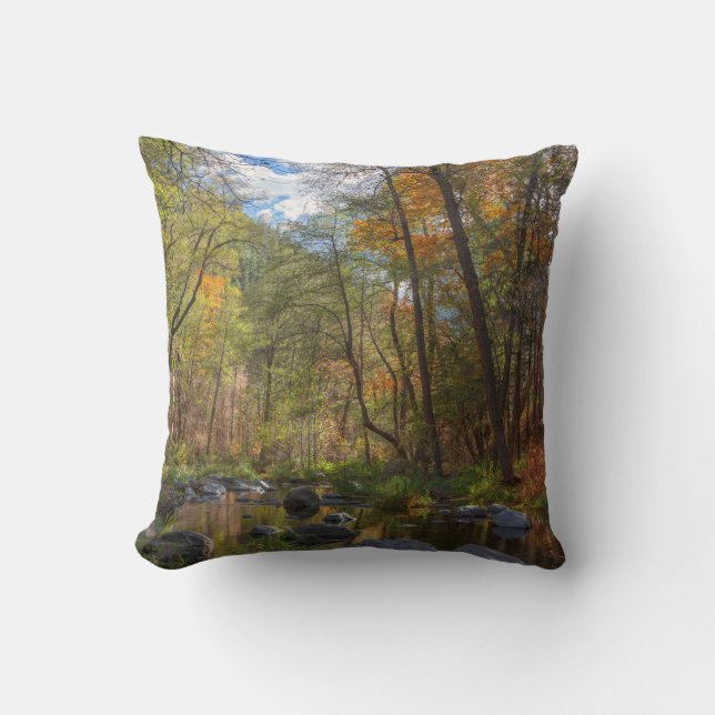 SEDONA ARIZONA STREAMING ANOTHER DAY CUSHION (Front)