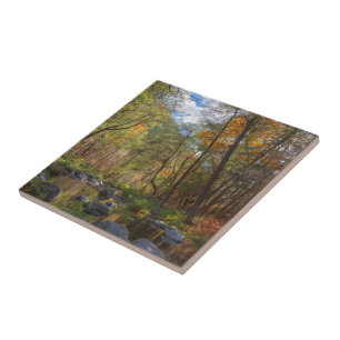 SEDONA ARIZONA STREAMING ANOTHER DAY TILE