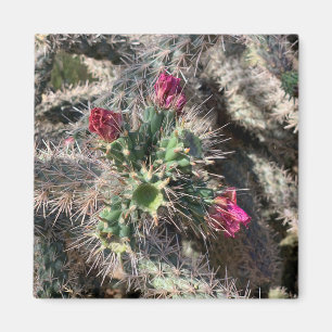 Sedona Pink Cactus Bloom Desert Magnet