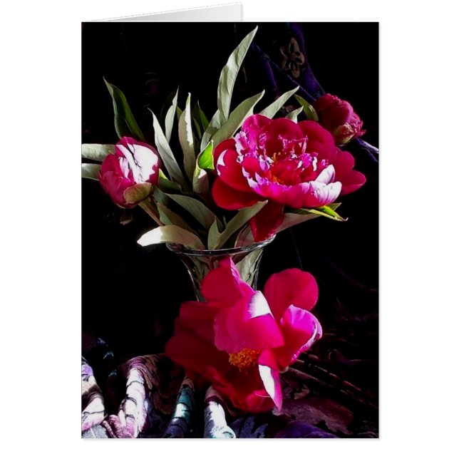 Seductive Red Peonies (Front)