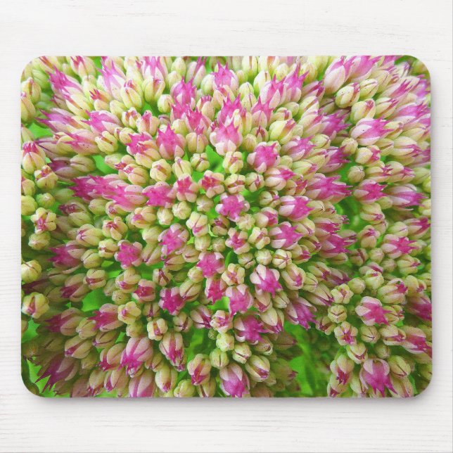 Sedum Autumn Joy Mouse Mat (Front)