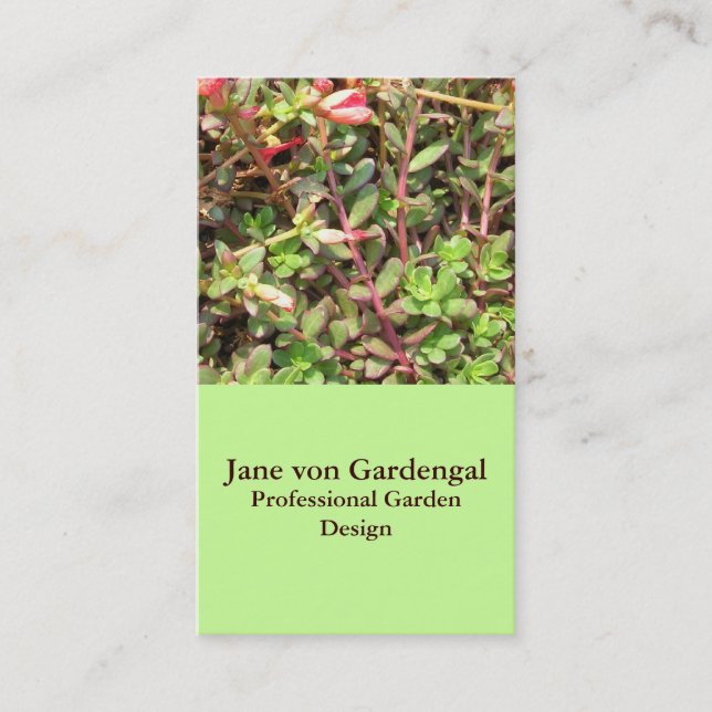 Sedum Business Card (Front)