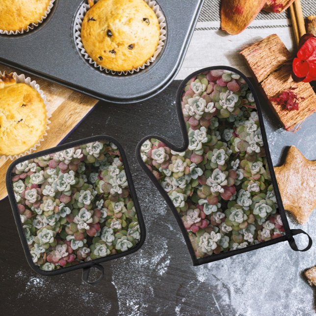 Sedum Spathulifolium Stonecrop Botanical Oven Mitt & Pot Holder Set (In Situ Kitchen)