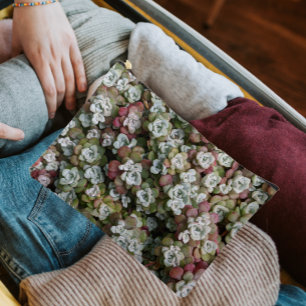 Sedum Spathulifolium Stonecrop Floral Accessory Pouch