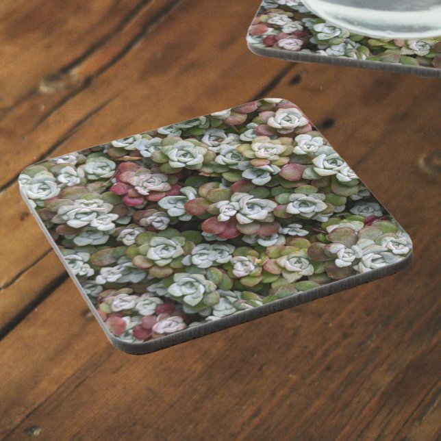 Sedum Spathulifolium Succulents Floral Coaster (In Situ)