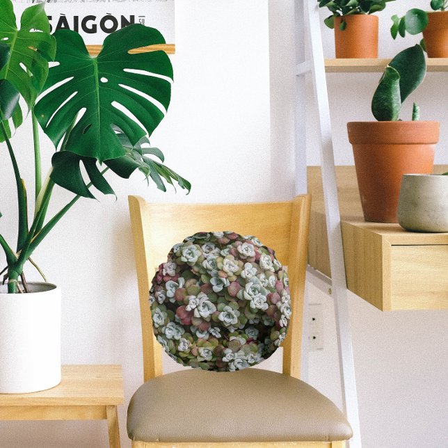 Sedum Spathulifolium Succulents Floral Round Cushion (In Situ Chair)