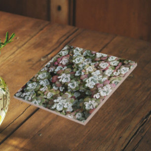 Sedum Spathulifolium Succulents Floral Tile