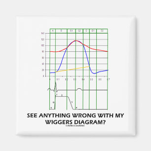 See Anything Wrong With My Wiggers Diagram? Magnet