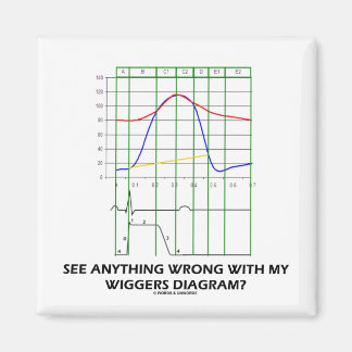 See Anything Wrong With My Wiggers Diagram? Magnet