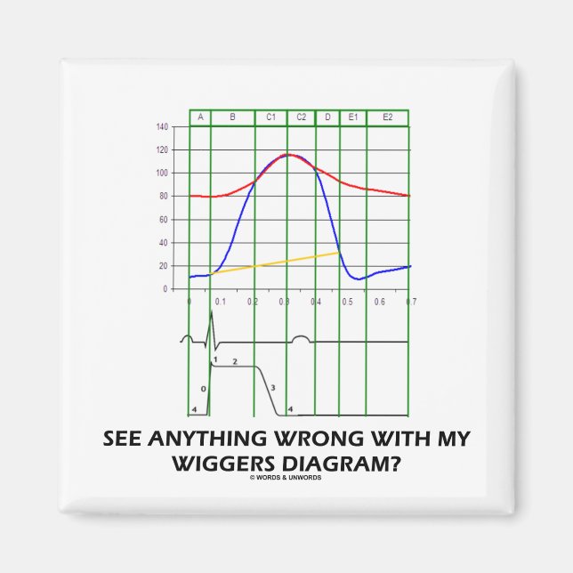 See Anything Wrong With My Wiggers Diagram? Magnet (Front)