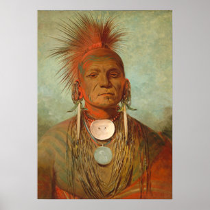 See-non-ty-a, an Iowa Medicine Man, 1844 Poster