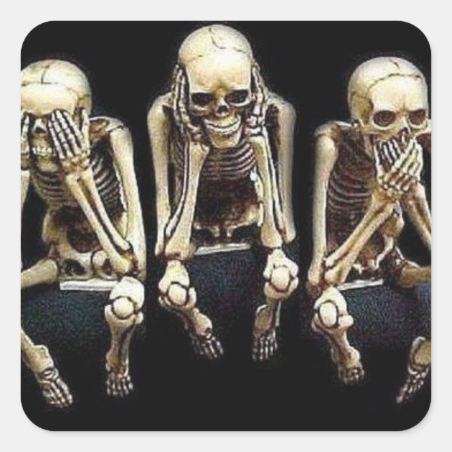 SEE SPEAK HEAR NO EVIL SQUARE STICKER (Front)