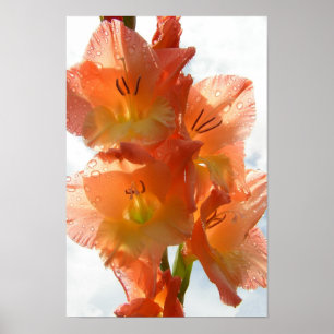 See-through Gladiolas Poster