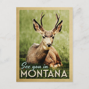 See You In Montana - Stag Deer Wildlife Postcard