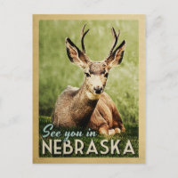 See You In Nebraska - Stag Deer Wildlife