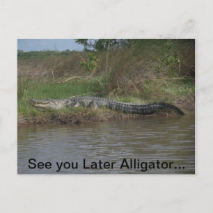 See You Later Alligator Postcard
