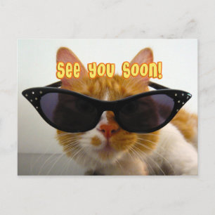 See You Soon - Cool Cat Postcard