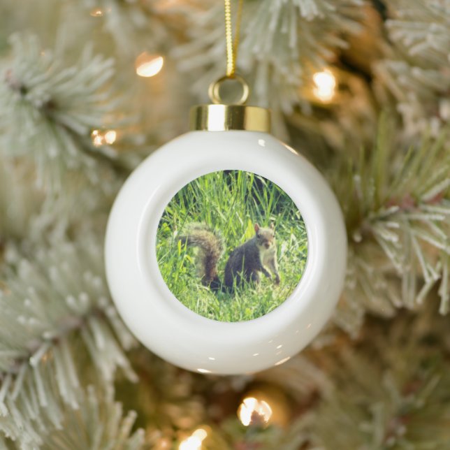 See You Squirrel Ceramic Ball Ornament (Tree)