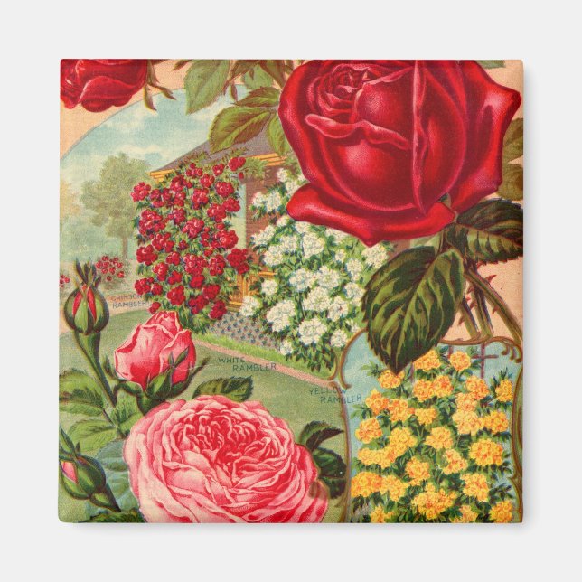 Seed Catalogue 12 Magnet (Front)