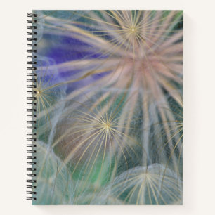 Seed Head Design Gennesse, Idaho Notebook