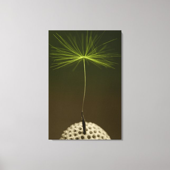 Seed Of A Dandelion Photo on Canvas (Front)