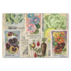 Seed Packet Collage