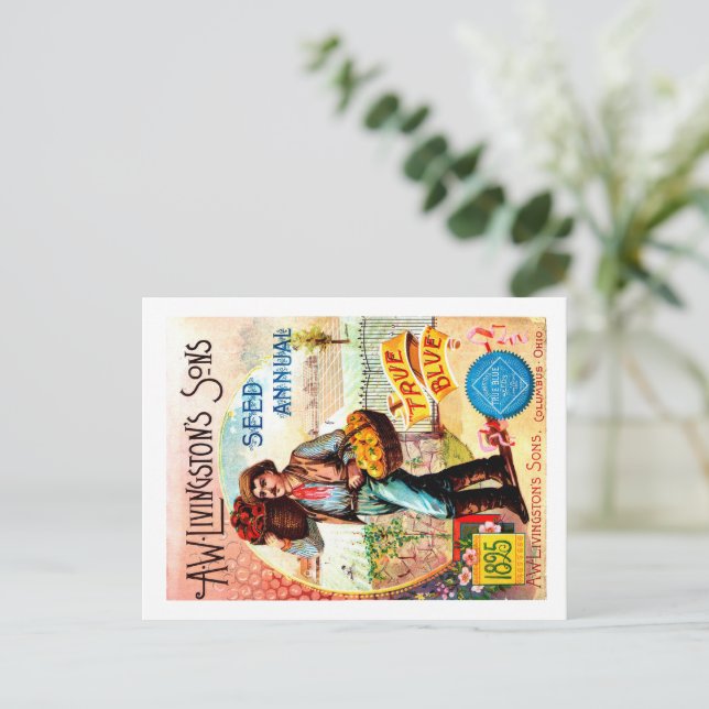 Seed Packet Postcards.  Postcard (Standing Front)