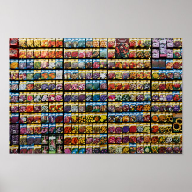 Seed Packet Poster (Front)