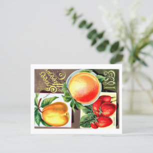 Seed Packets.  Postcard