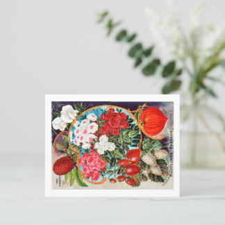 Seed Packets.  Postcard