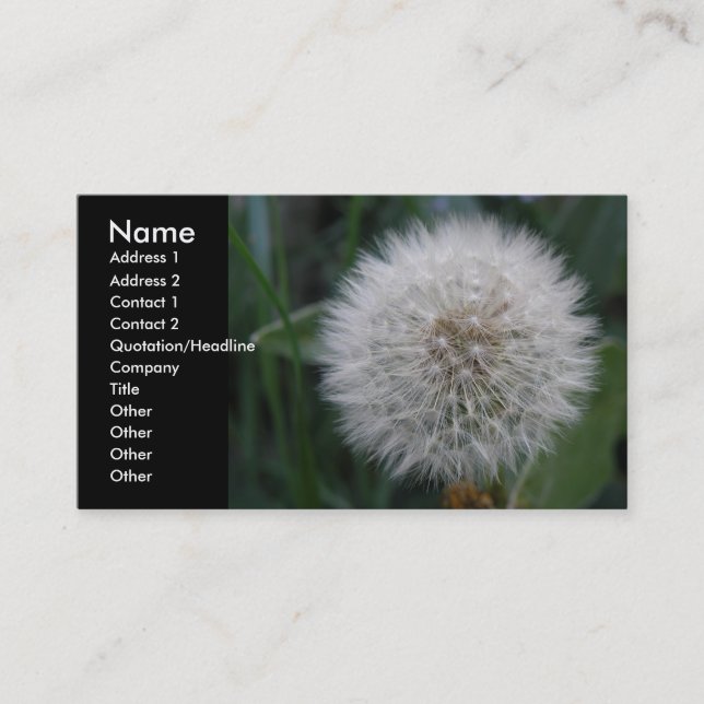 Seeding Dandelion Flower Custom Business Cards (Front)
