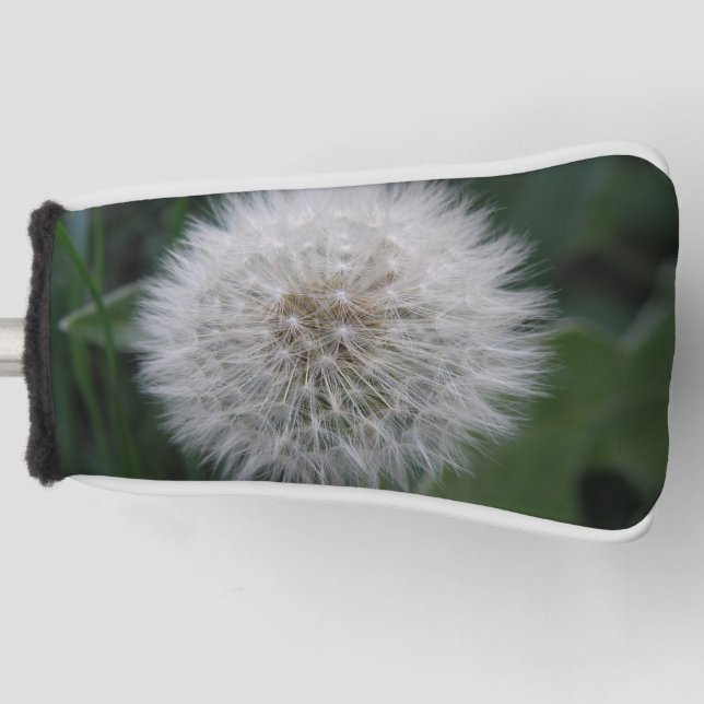 Seeding Dandelion Flower Golf Putter Cover (Front)