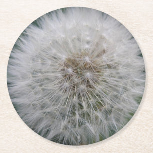 Seeding Dandelion Flower Paper Coasters