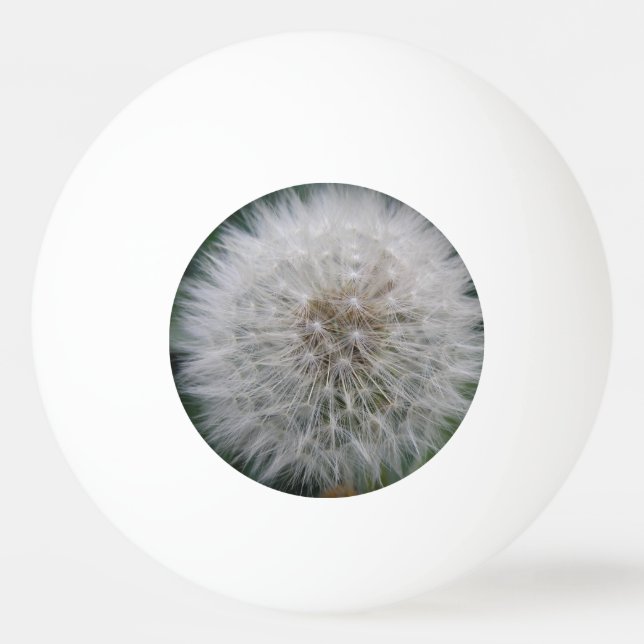 Seeding Dandelion Flower Ping Pong Ball (Front)